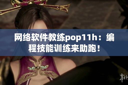 网络软件教练pop11h：编程技能训练来助跑！