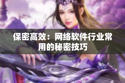 保密高效：网络软件行业常用的秘密技巧