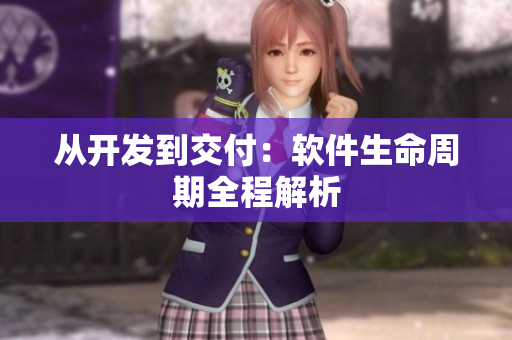 从开发到交付：软件生命周期全程解析