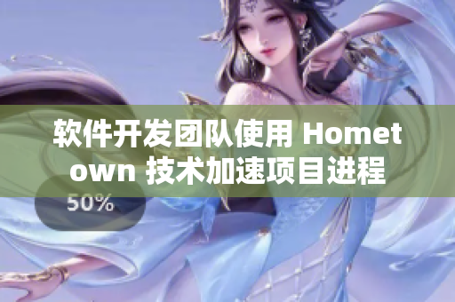 软件开发团队使用 Hometown 技术加速项目进程
