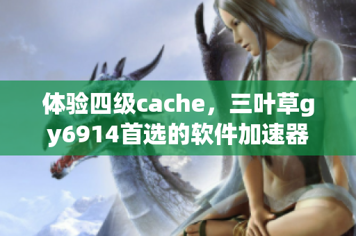 体验四级cache，三叶草gy6914首选的软件加速器
