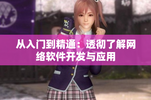 从入门到精通：透彻了解网络软件开发与应用