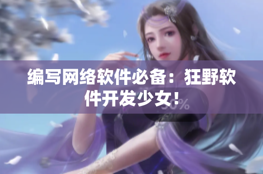 编写网络软件必备：狂野软件开发少女！