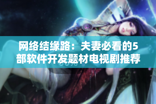 网络结缘路：夫妻必看的5部软件开发题材电视剧推荐！