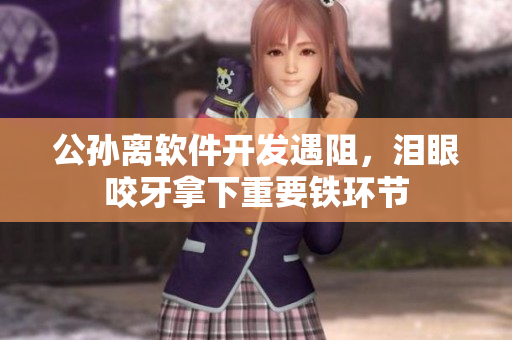 公孙离软件开发遇阻，泪眼咬牙拿下重要铁环节
