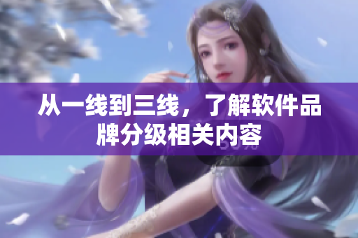 从一线到三线，了解软件品牌分级相关内容
