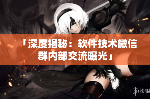 「深度揭秘：软件技术微信群内部交流曝光」