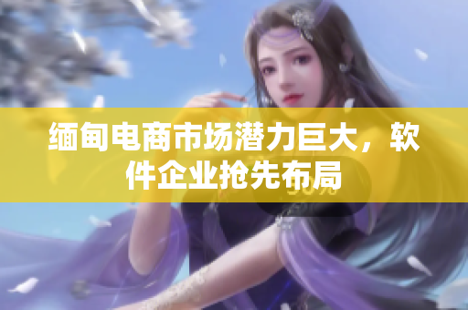 缅甸电商市场潜力巨大，软件企业抢先布局