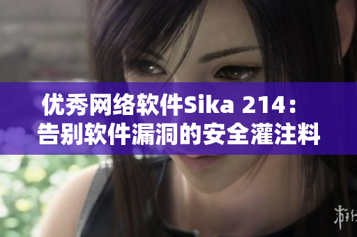 优秀网络软件Sika 214： 告别软件漏洞的安全灌注料