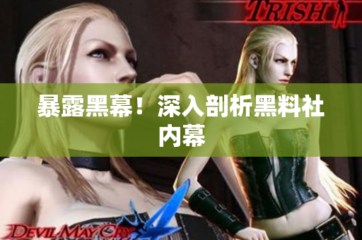 暴露黑幕！深入剖析黑料社内幕