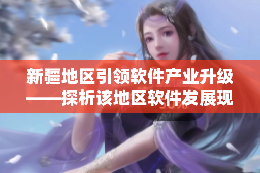 新疆地区引领软件产业升级——探析该地区软件发展现状
