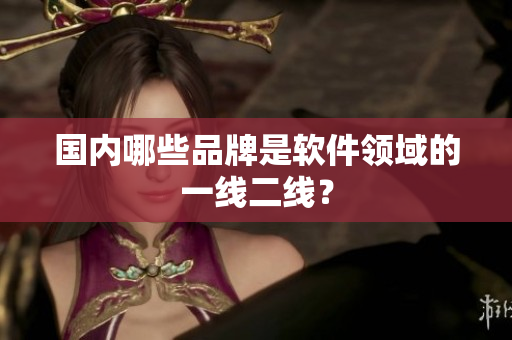 国内哪些品牌是软件领域的一线二线？