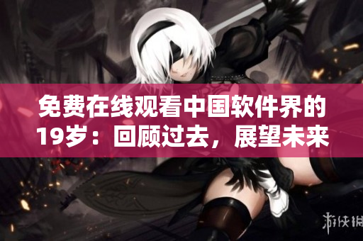 免费在线观看中国软件界的19岁：回顾过去，展望未来