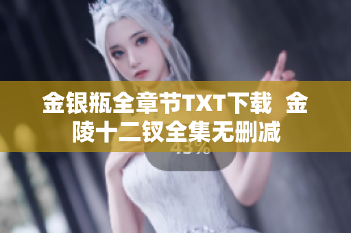 金银瓶全章节TXT下载  金陵十二钗全集无删减