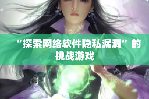 “探索网络软件隐私漏洞”的挑战游戏