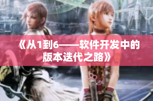 《从1到6——软件开发中的版本迭代之路》