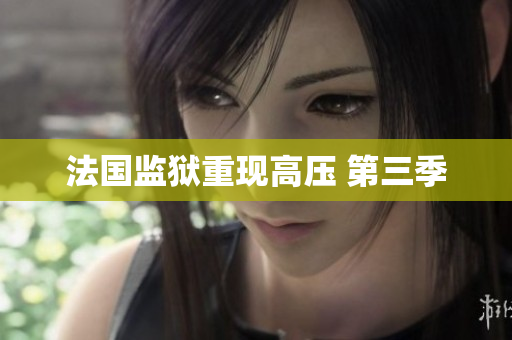 法国监狱重现高压 第三季