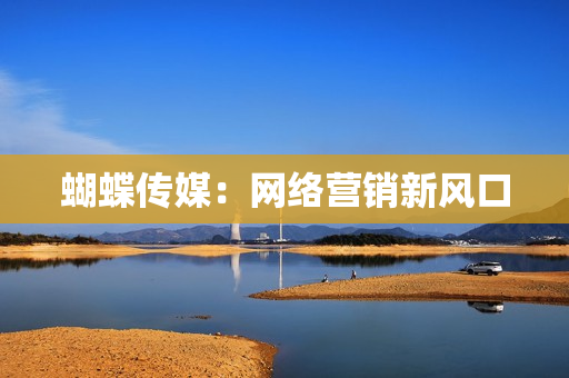 蝴蝶传媒：网络营销新风口