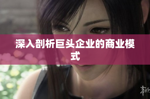 深入剖析巨头企业的商业模式