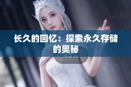 长久的回忆：探索永久存储的奥秘