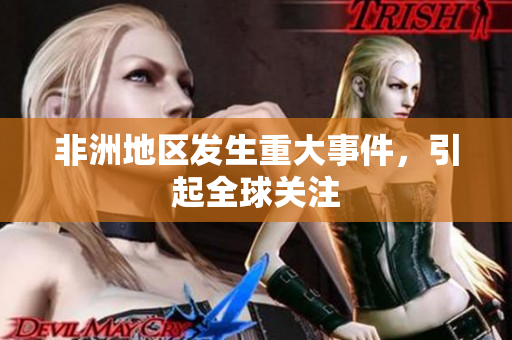 非洲地区发生重大事件，引起全球关注
