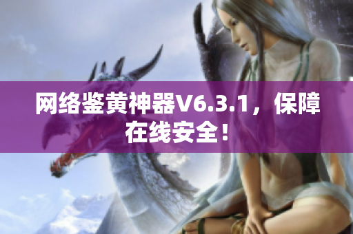 网络鉴黄神器V6.3.1，保障在线安全！