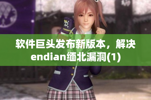 软件巨头发布新版本，解决endian缅北漏洞(1)