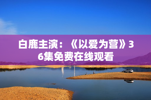 白鹿主演：《以爱为营》36集免费在线观看