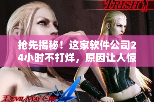 抢先揭秘！这家软件公司24小时不打烊，原因让人惊呆！