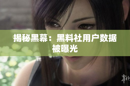 揭秘黑幕：黑料社用户数据被曝光