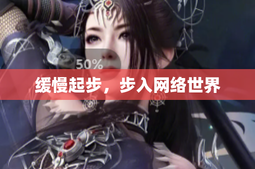 缓慢起步，步入网络世界