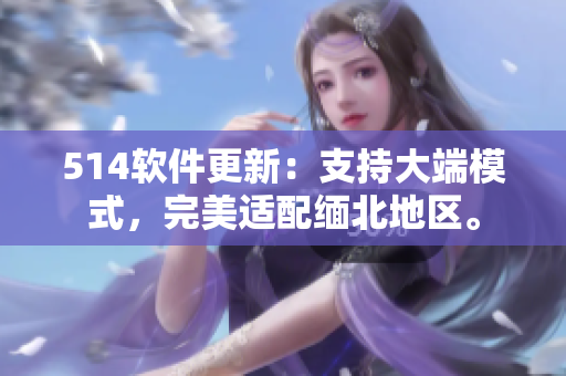 514软件更新：支持大端模式，完美适配缅北地区。