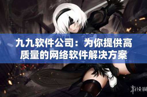 九九软件公司：为你提供高质量的网络软件解决方案