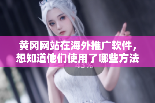 黄冈网站在海外推广软件，想知道他们使用了哪些方法？