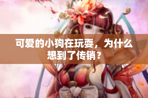可爱的小狗在玩耍，为什么想到了传销？