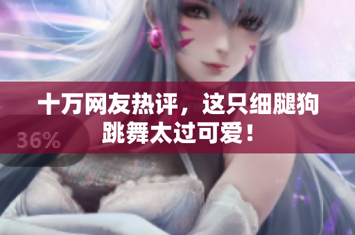 十万网友热评，这只细腿狗跳舞太过可爱！