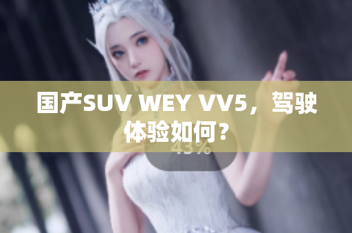 国产SUV WEY VV5，驾驶体验如何？