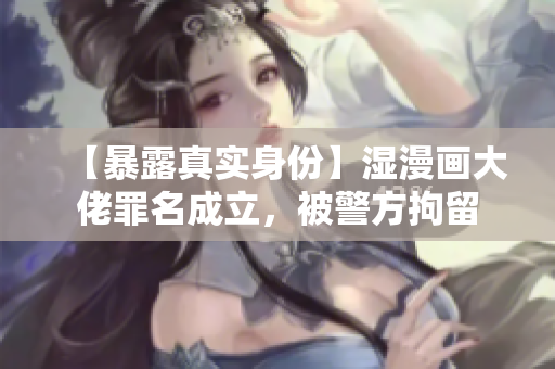【暴露真实身份】湿漫画大佬罪名成立，被警方拘留