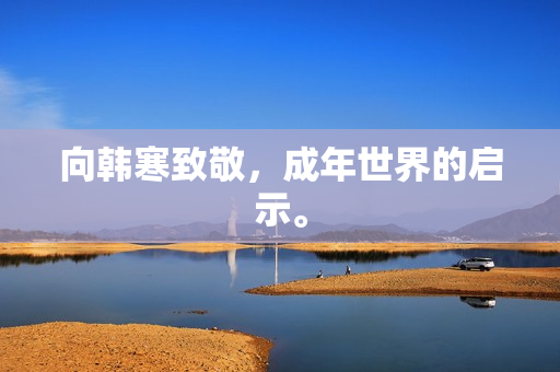 向韩寒致敬，成年世界的启示。