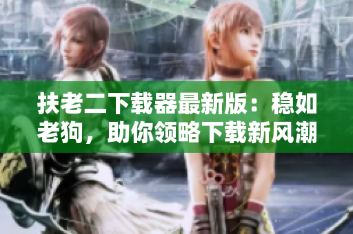 扶老二下载器最新版：稳如老狗，助你领略下载新风潮！