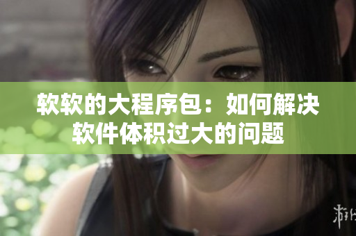 软软的大程序包：如何解决软件体积过大的问题