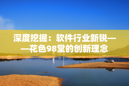 深度挖掘：软件行业新锐——花色98堂的创新理念