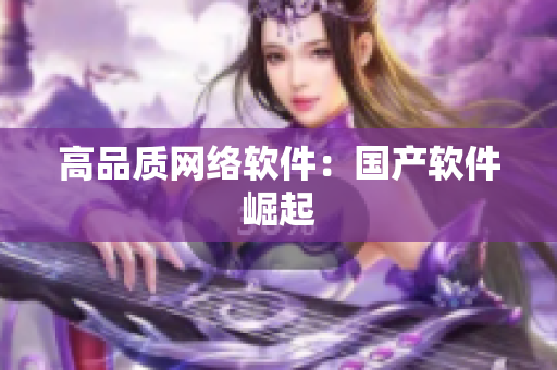 高品质网络软件：国产软件崛起