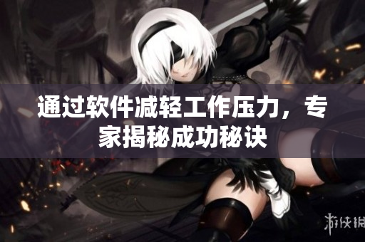 通过软件减轻工作压力，专家揭秘成功秘诀