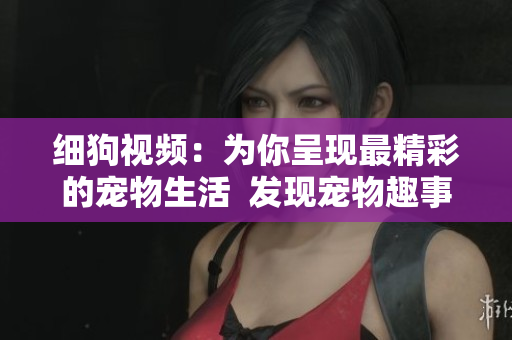 细狗视频：为你呈现最精彩的宠物生活  发现宠物趣事，尽在细狗视频！