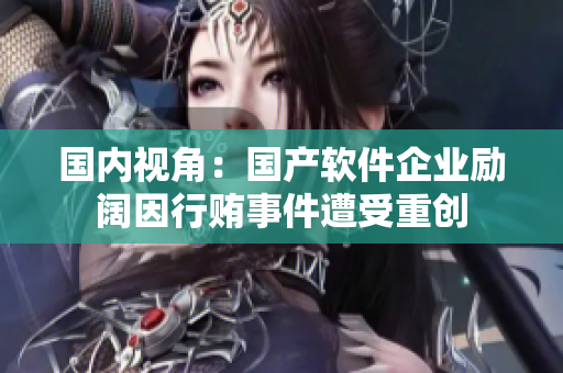 国内视角：国产软件企业励阔因行贿事件遭受重创