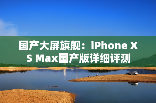 国产大屏旗舰：iPhone XS Max国产版详细评测