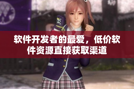 软件开发者的最爱，低价软件资源直接获取渠道