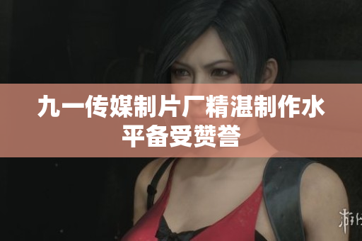 九一传媒制片厂精湛制作水平备受赞誉
