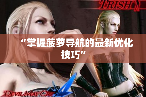 “掌握菠萝导航的最新优化技巧”